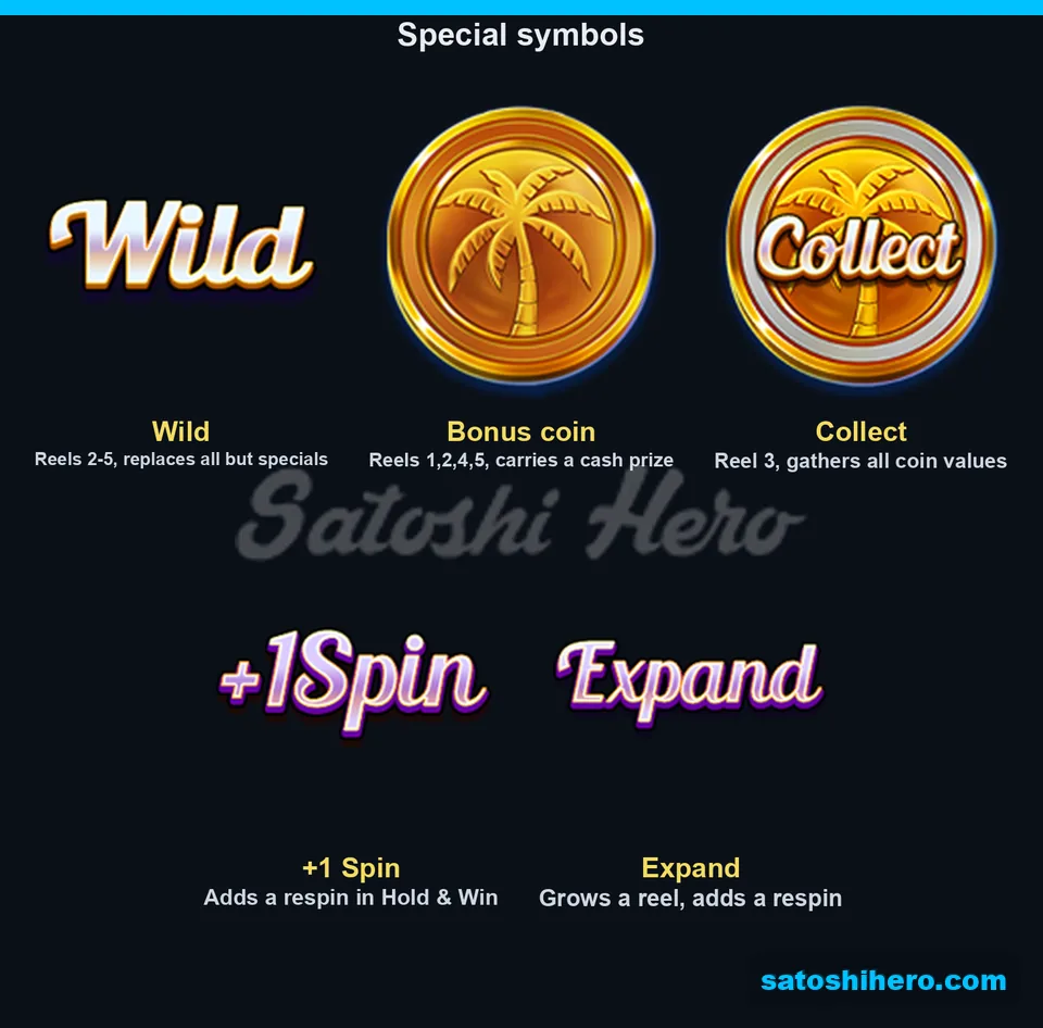 Five special symbols with short function notes
