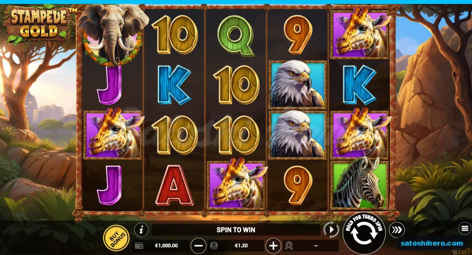 Five reels settled with wildlife symbols showing