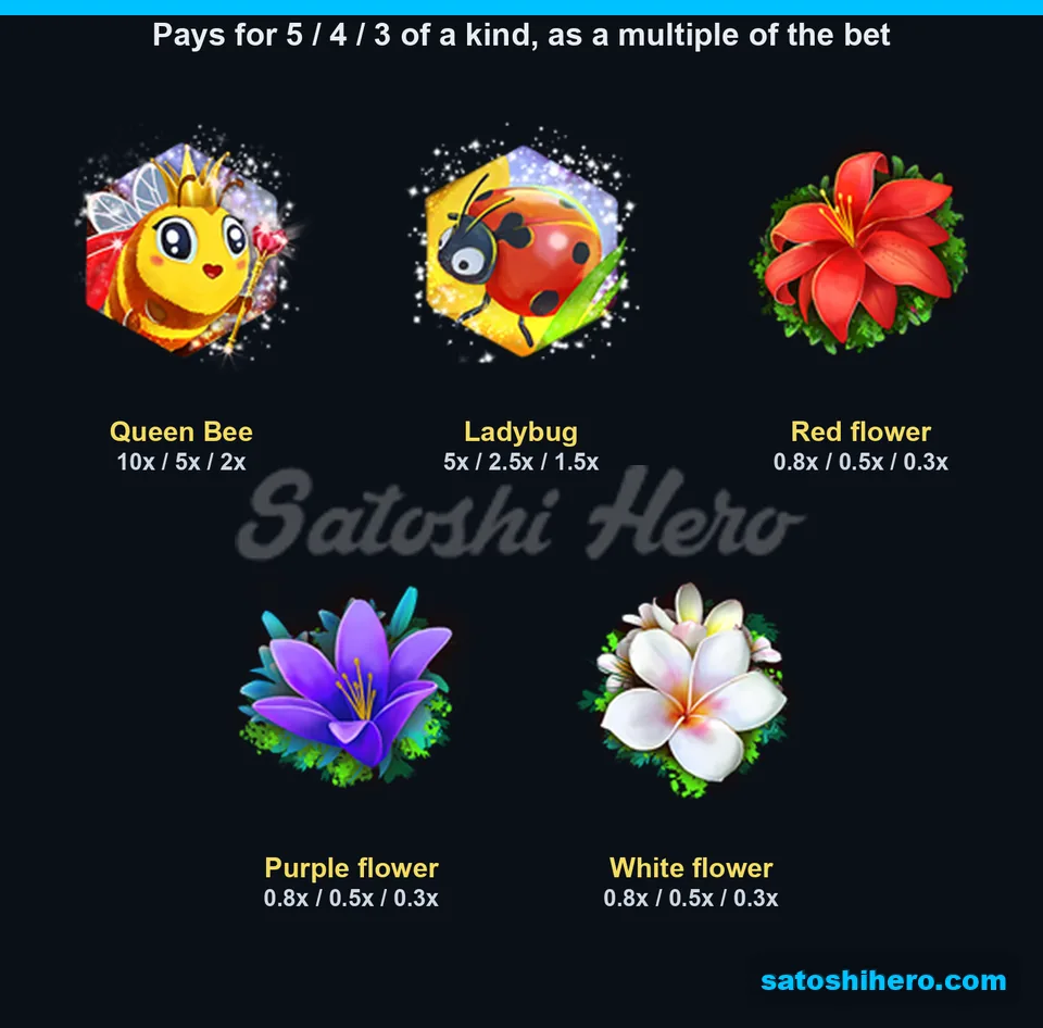 Five premium symbols with pay values displayed