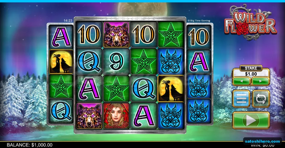 Six-reel grid settled under an aurora sky