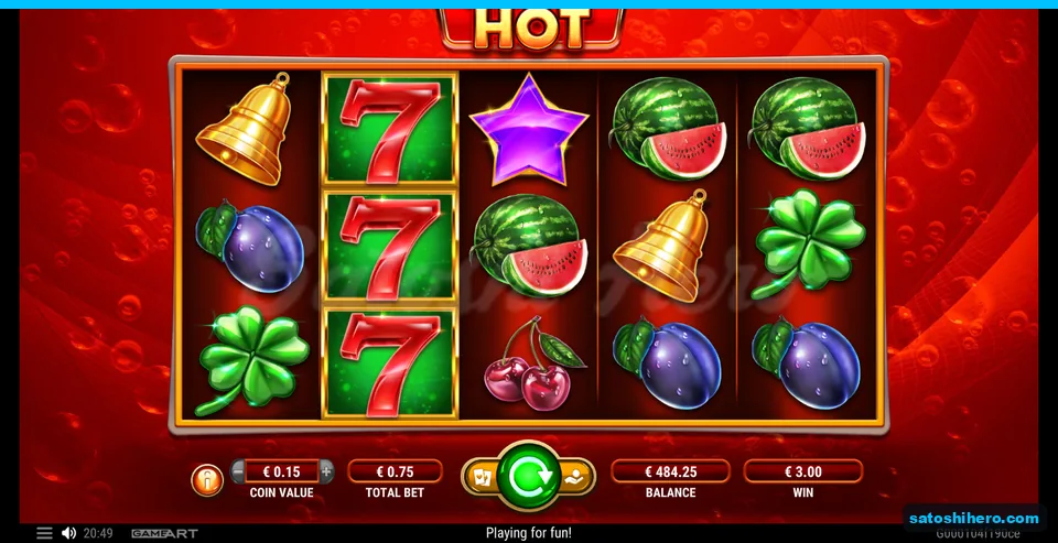 $3.00 win shown with expanded Wild on reel two